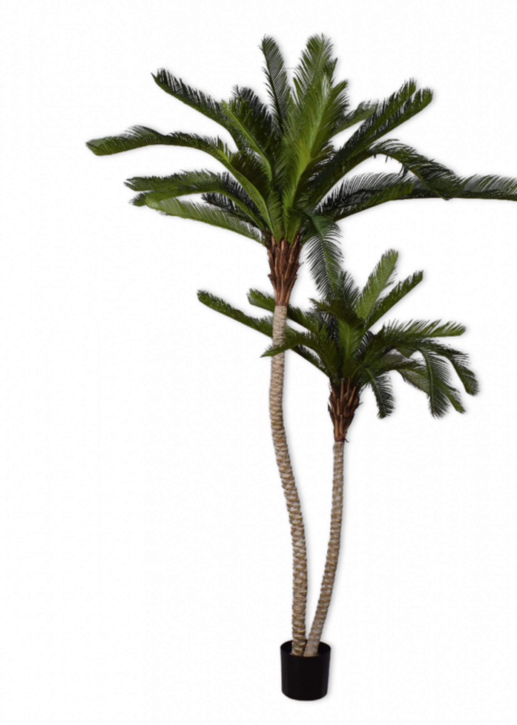 Silk-ka Cyclas  Palm Groen 180 cm 2 stammen