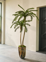 Cyclas Palm  grn.   180 cm 2 stammen