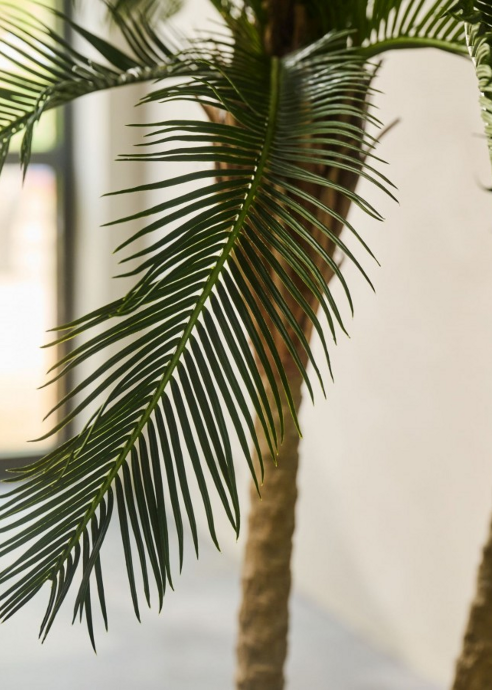 Silk-ka Cyclas  Palm Groen 180 cm 2 stammen