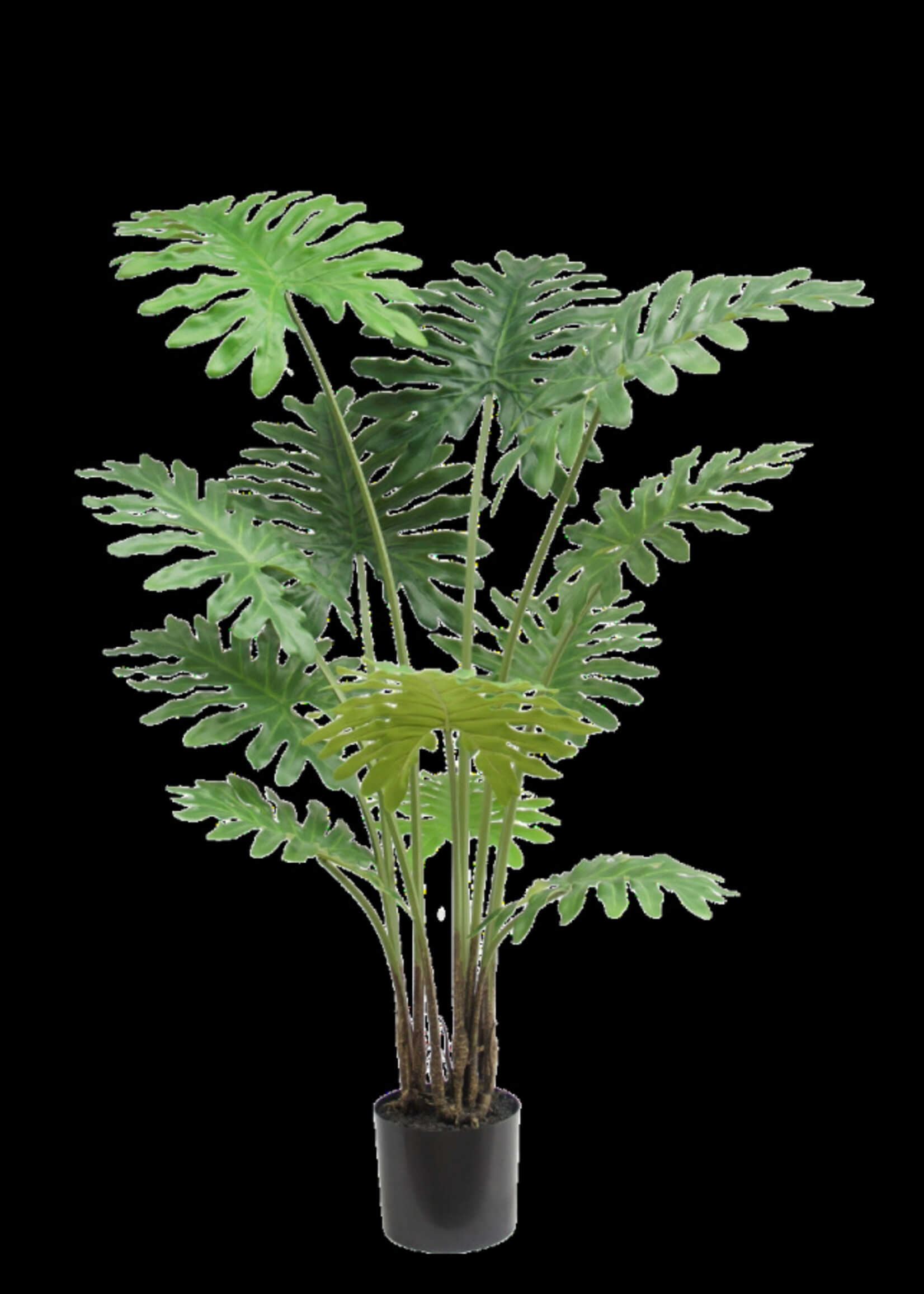 Philodendron plant grn. 130 cm Hoog