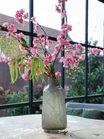 Vaas Jana  Elite  Grey