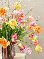 Parkiet Tulp  steel Ora-rd RT  71 cm