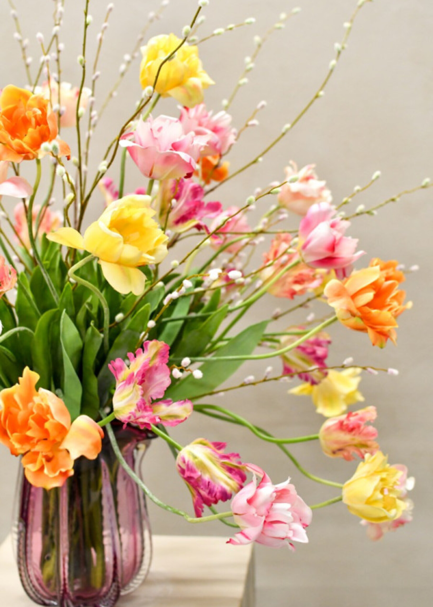 ParkietTulp  steel Ora-rd RT  71 cm