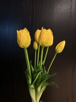 Bosje Tulpen van 7 in de kleur Geel