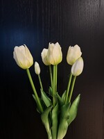 Tulpen bosje  van 7 in de kleur Wit