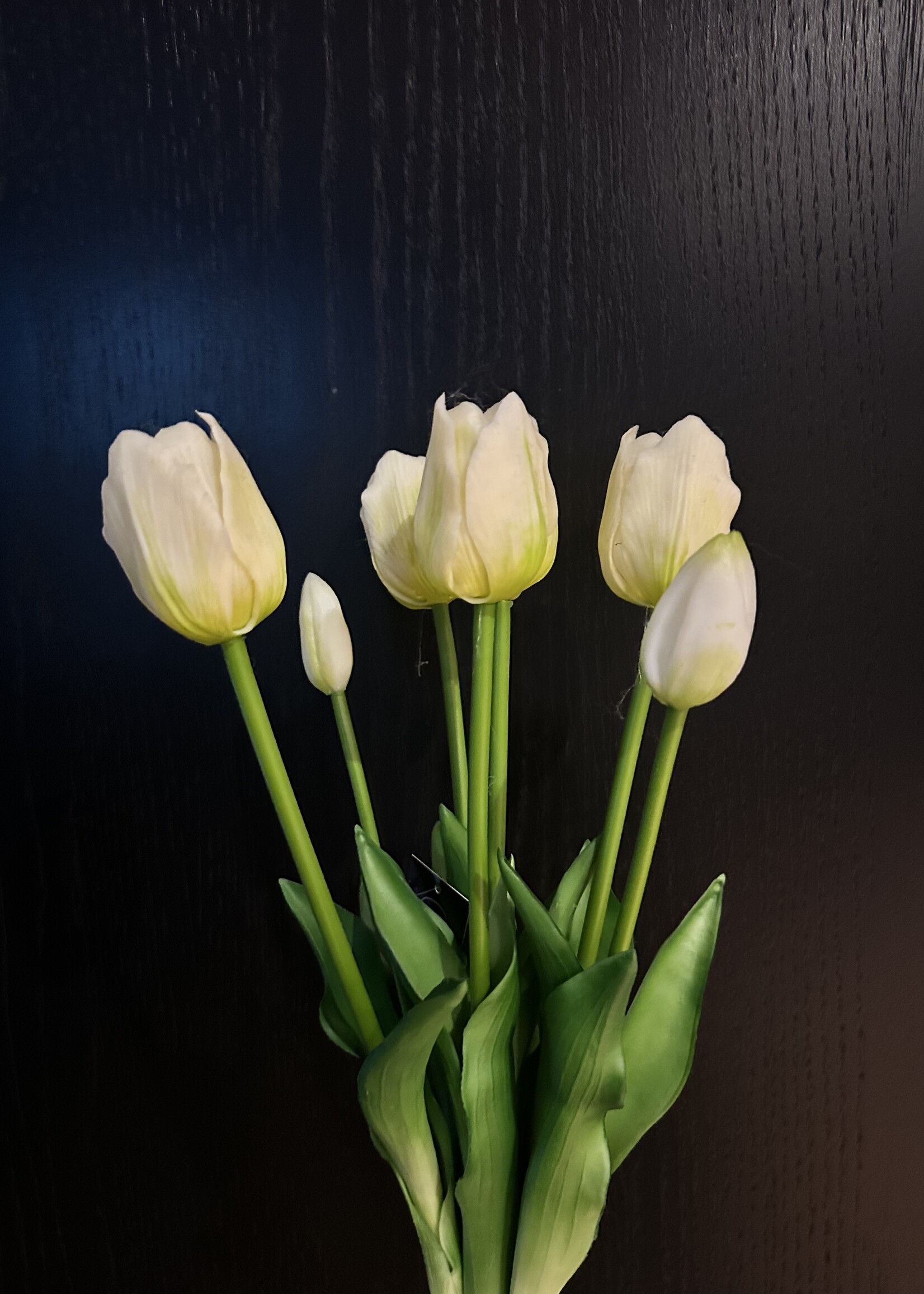 Tulpen Boeket Wit-creme