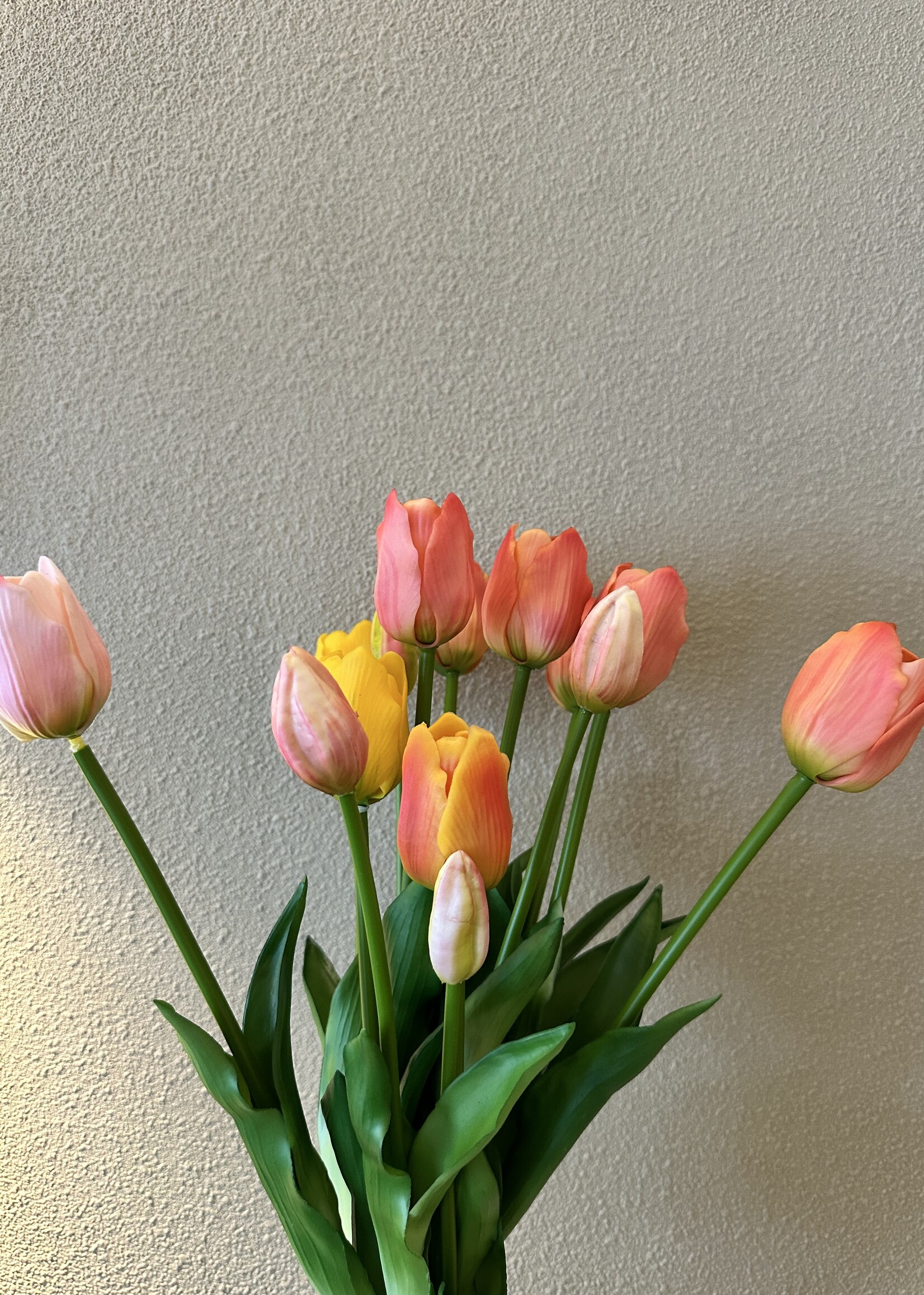 Tulpen bosje van 7 in de kleur Perzik