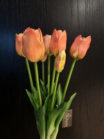 Tulpen bosje van 7  in de kleur Peach