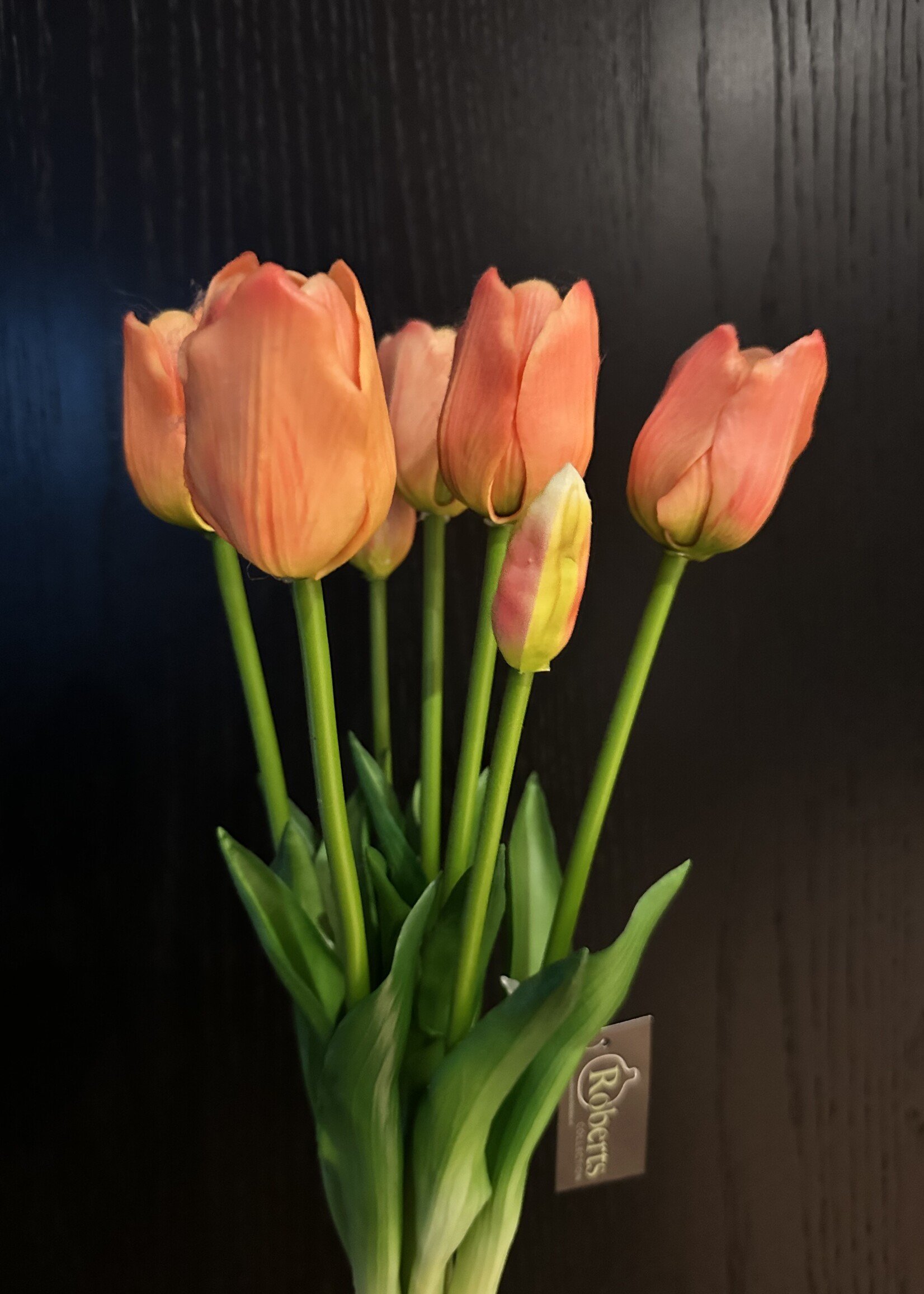 Tulpen bosje van 7 in de kleur Peach