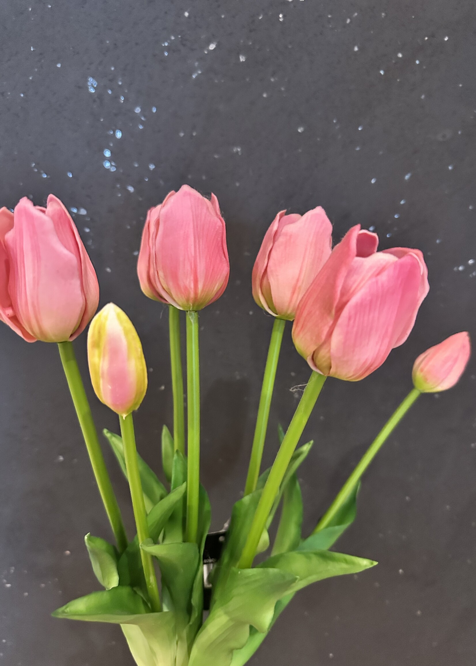Tulpen Boeket licht roze