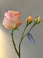 Silk-ka Roos  tak geel rt   59 cm