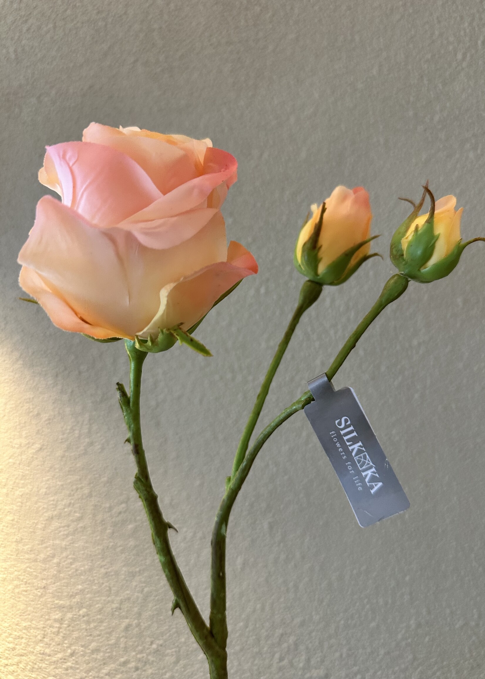 Silk-ka Roos  tak zachte zalm - geel  59 cm
