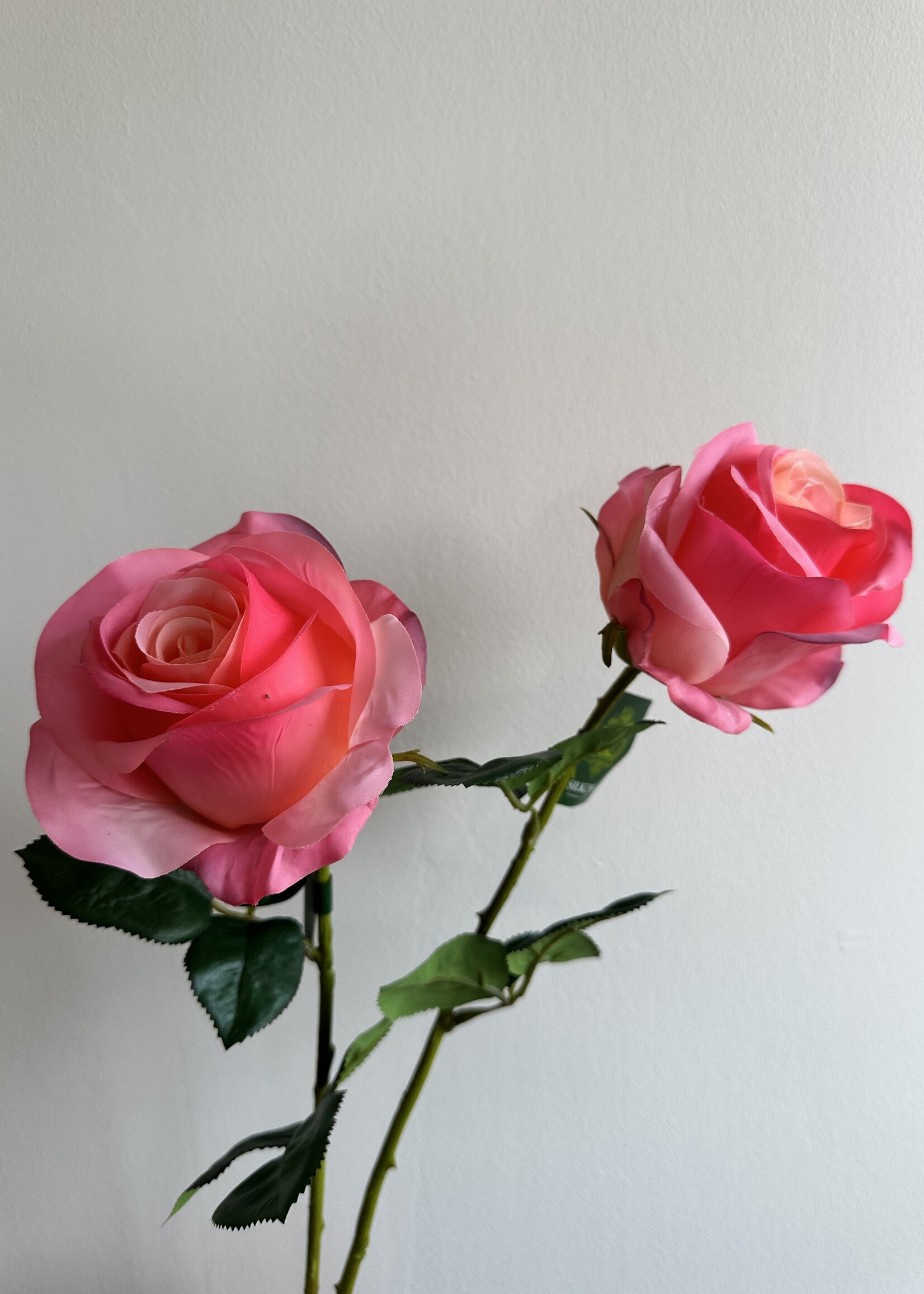 Silk-ka Roos steel Zalm RT 57 cm