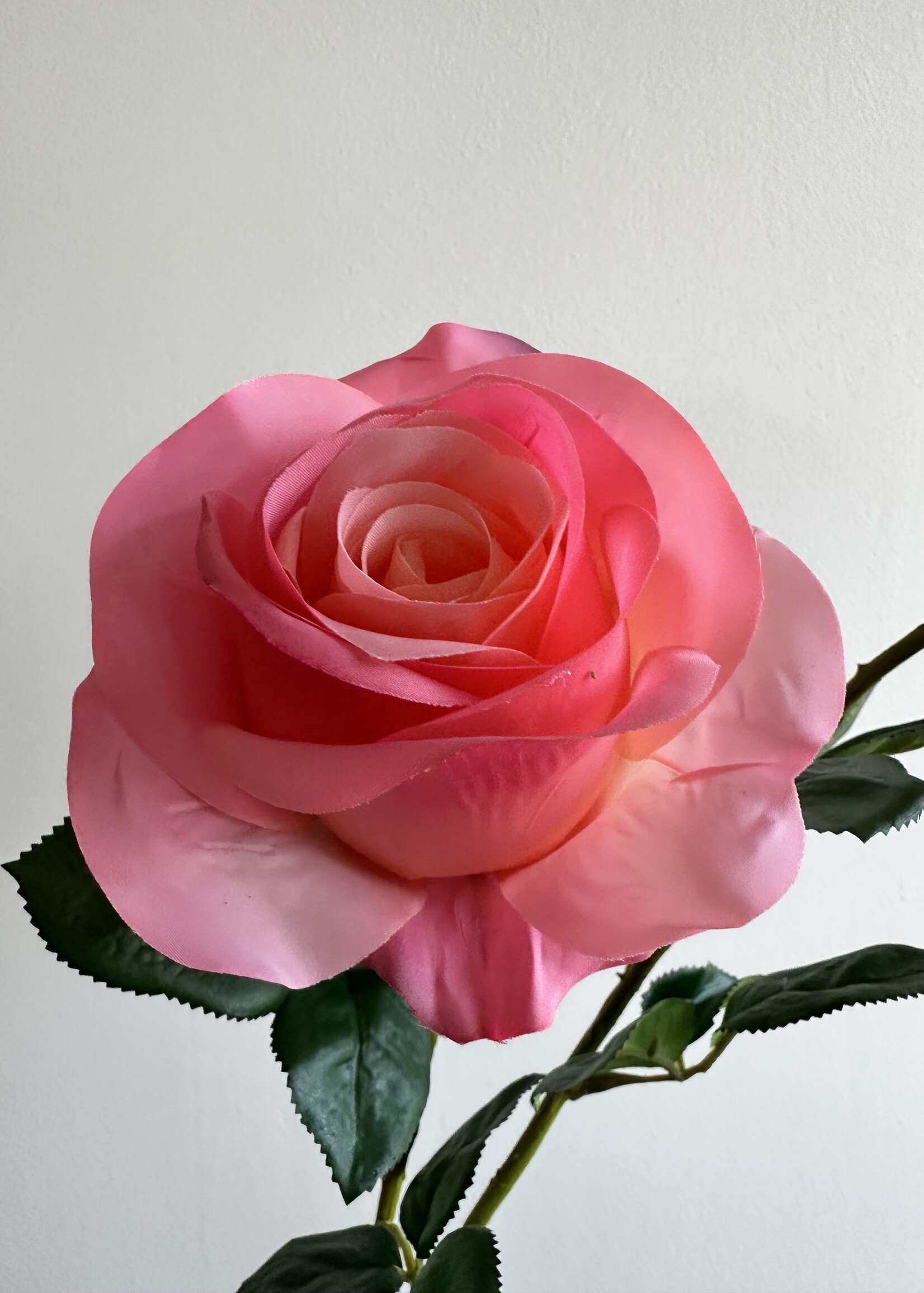 Silk-ka Roos steel Zalm RT 57 cm