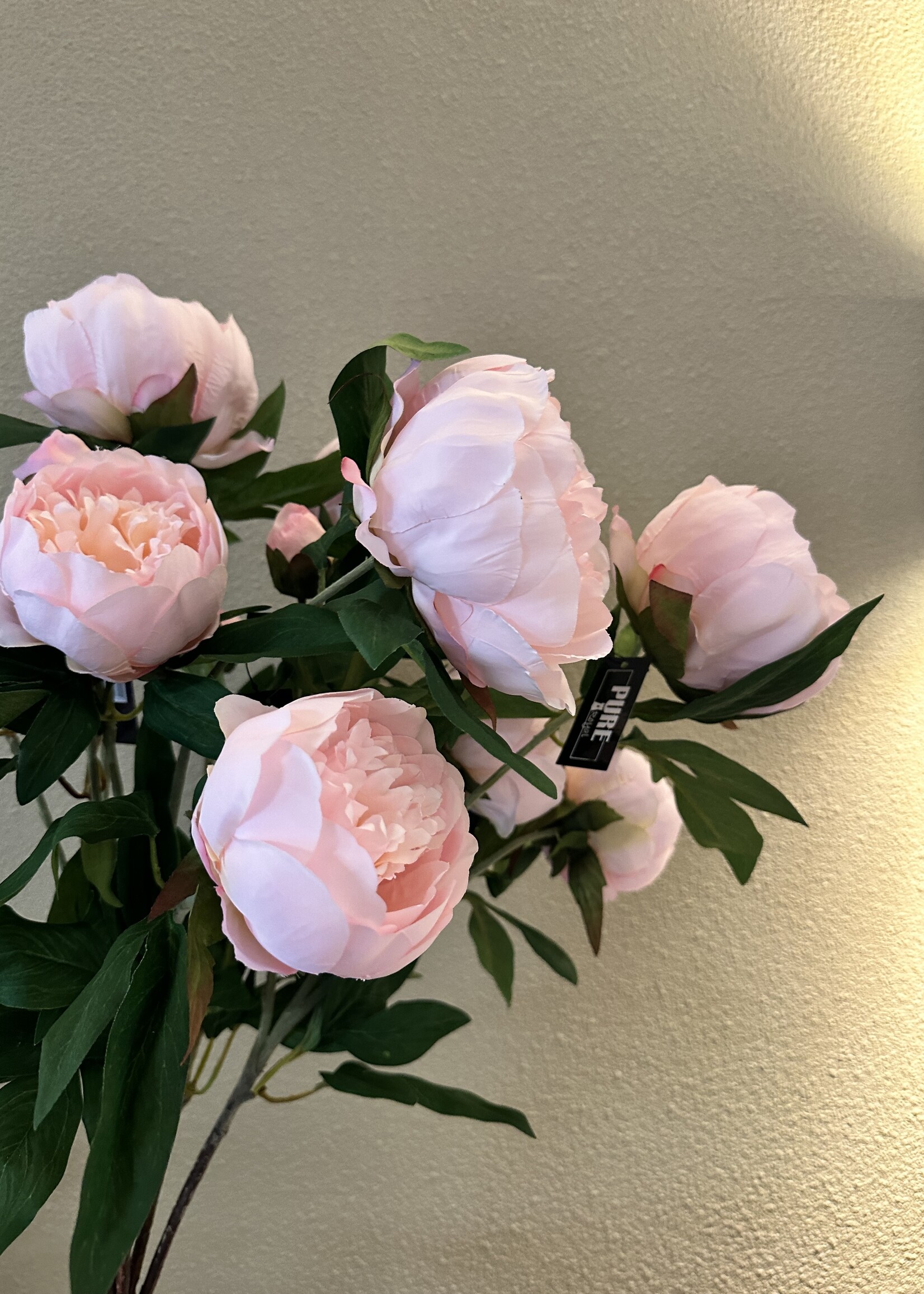 Silk-ka Pioen  Roos  Roze   70 cm