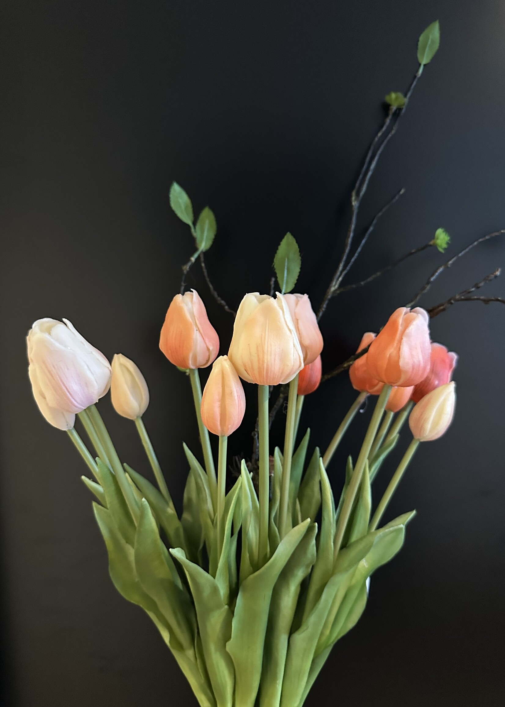 Tulpenboeket met wilgentak
