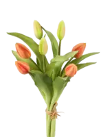 Tulpen bosje  in de kleur Perzik