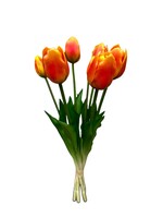 Tulpen boeket rood-geel