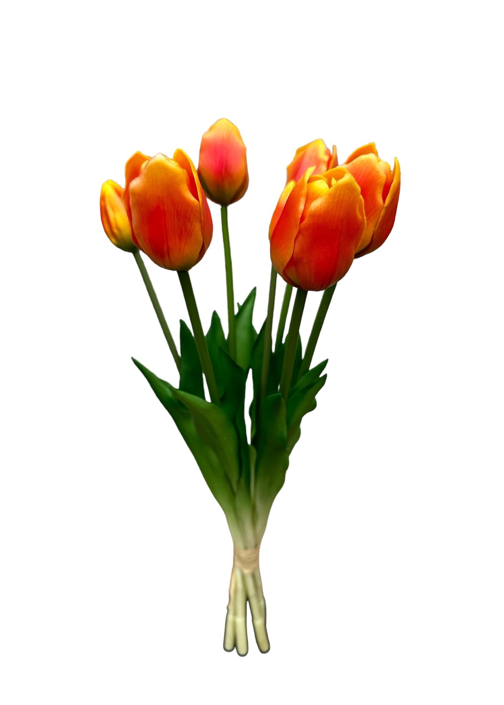 Tulpen boeket in rood-geel