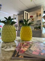 D.Kromhout Ananas  tropical vaas  geel