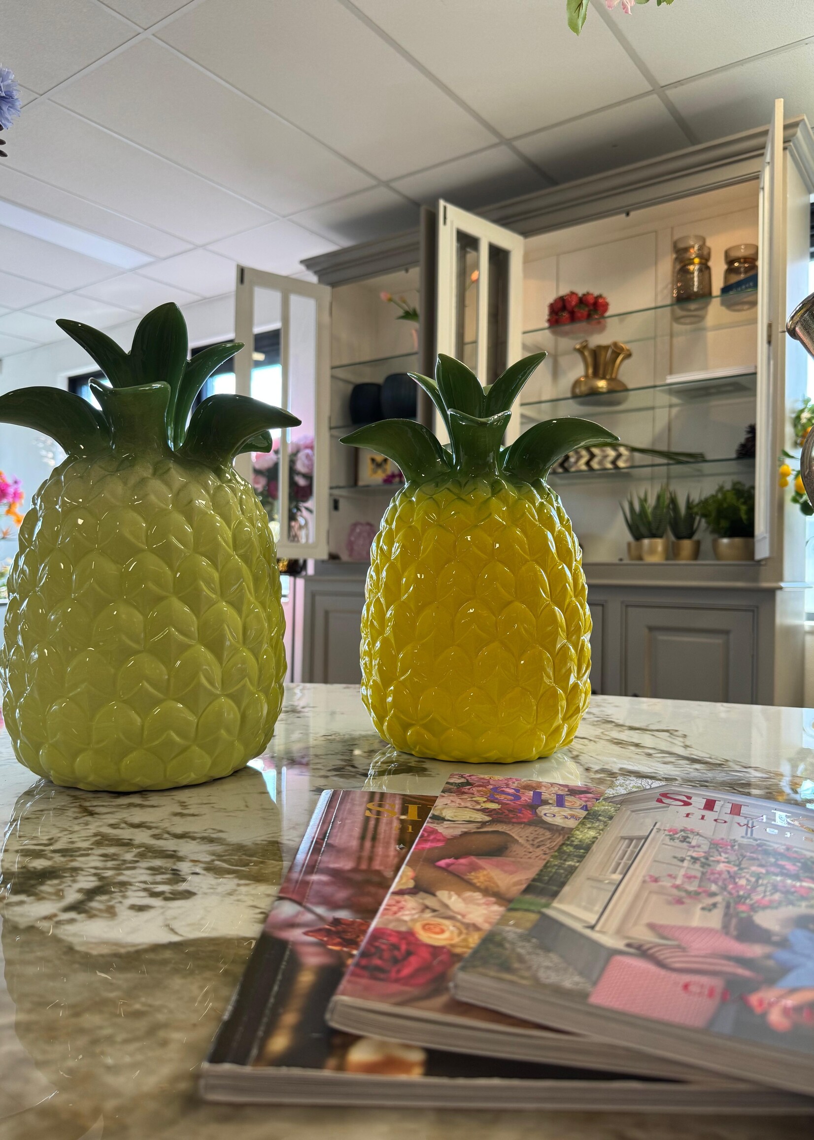 D.Kromhout Ananas  tropical  vaas  geel