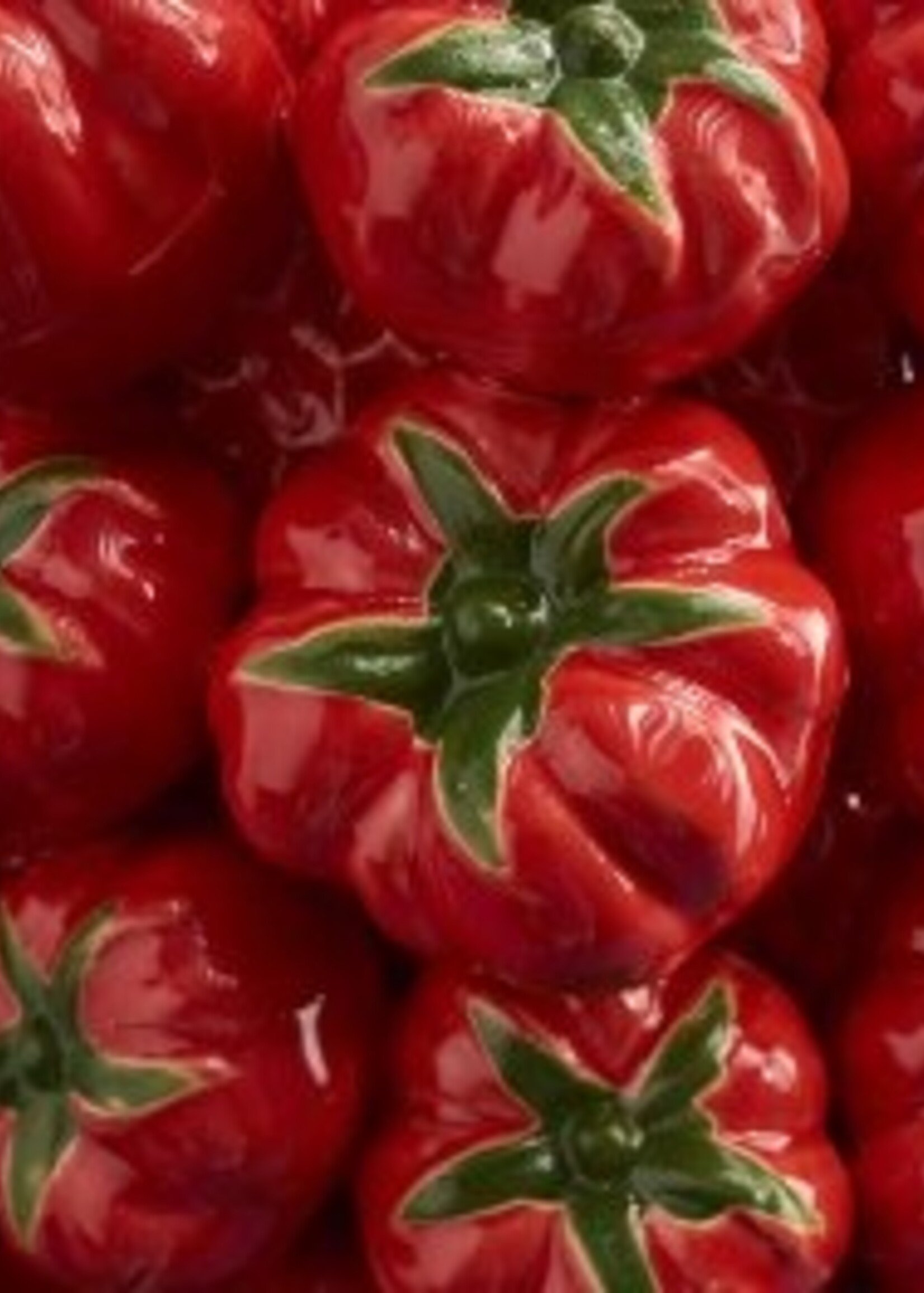 Werns Tomatenvaas Medium  H 27 cm