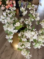 Hang Bloesem takken wit