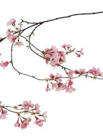 Countryfield Bloesem Prunus Hangend Roze