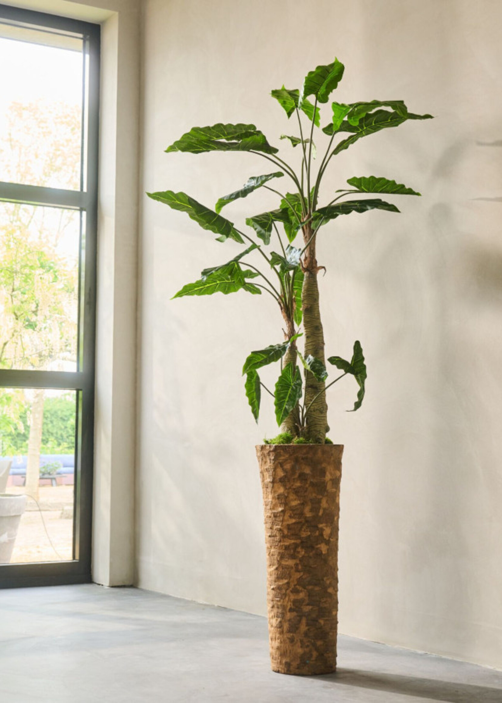 Silk-ka Alocasia Green 182 cm