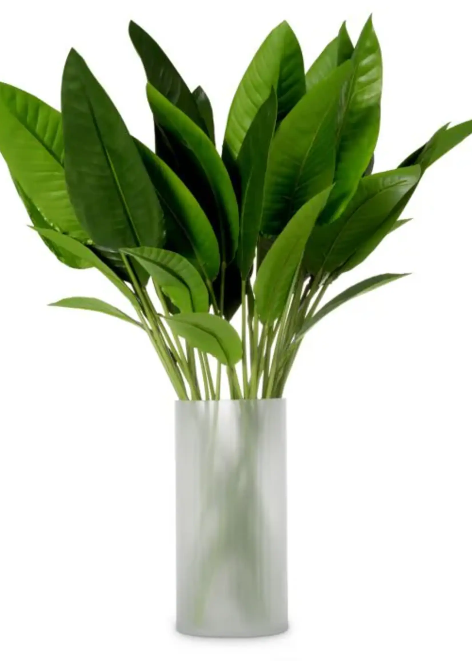 Eichholtz Bundel Strelitzia   36 stuks