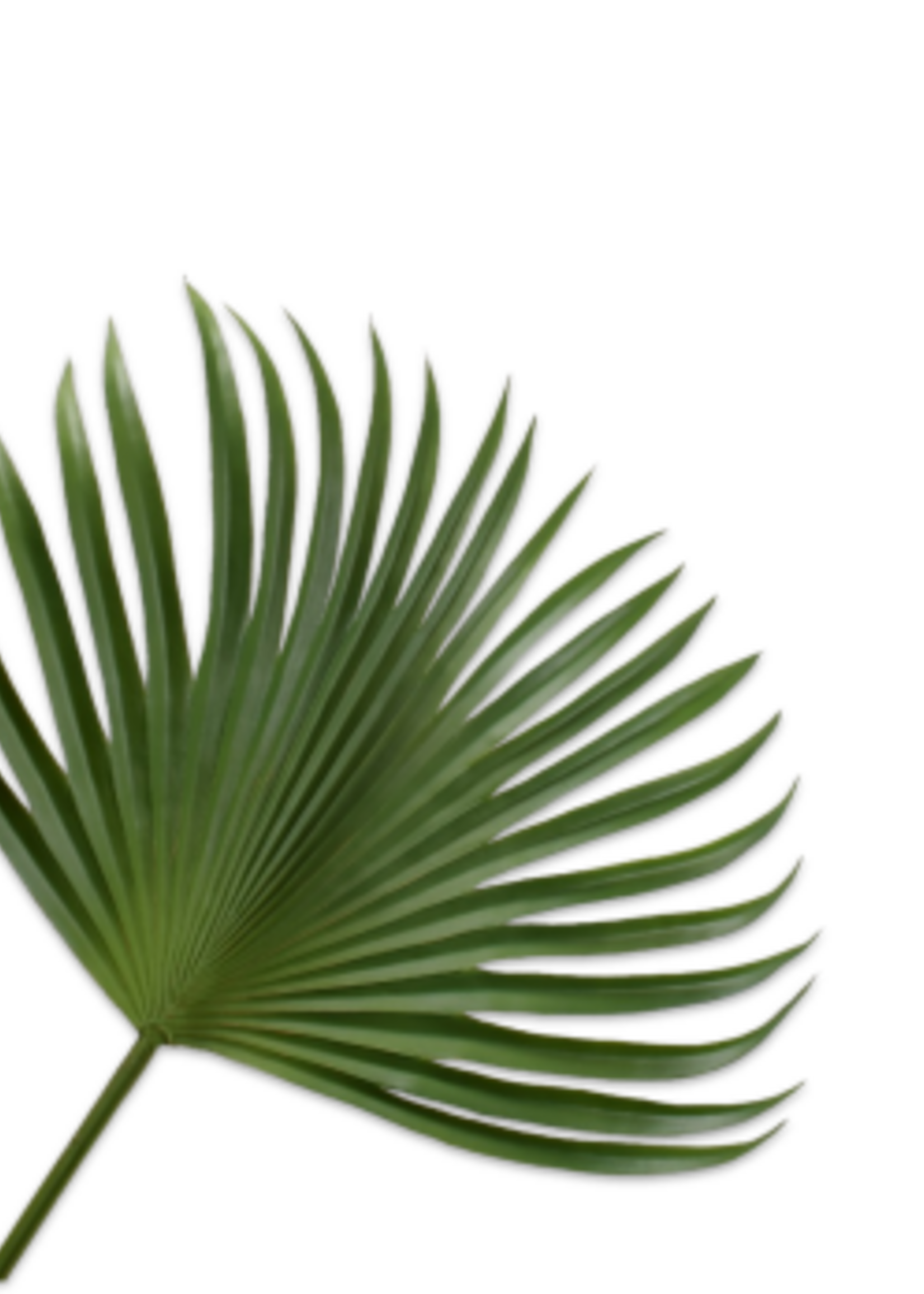 Silk-ka Palm Blad 107 cm