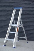 Solide enkele professionele trapladder model PT 3