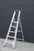 Solide enkele professionele trapladder model PT 5