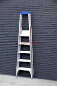 Solide enkele professionele trapladder model PT 5