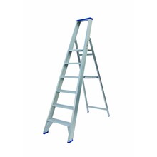 Enkele trapladder model PT 6