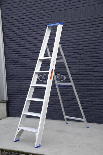 Solide enkele professionele trapladder model PT 6