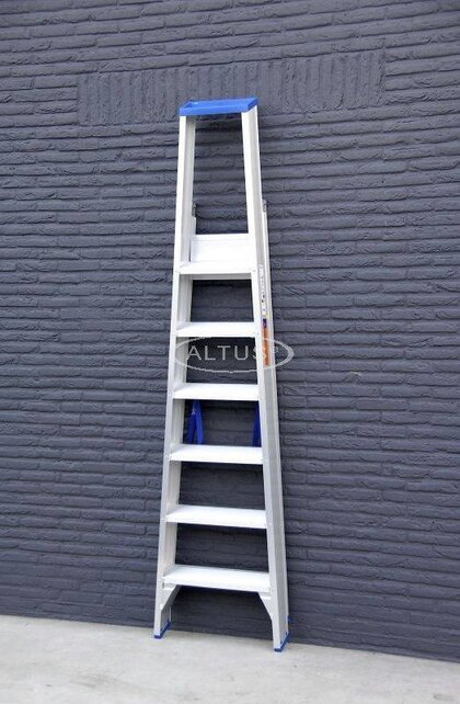 Solide enkele professionele trapladder model PT 6