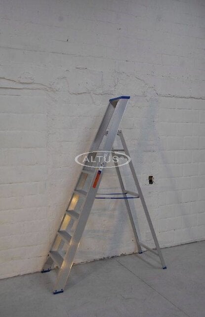 Solide enkele professionele trapladder model PT 6