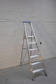 Solide enkele professionele trapladder model PT 6