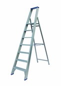 Solide enkele professionele trapladder model PT 7