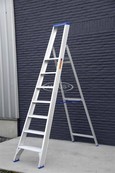 Solide enkele professionele trapladder model PT 7