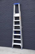 Solide enkele professionele trapladder model PT 7
