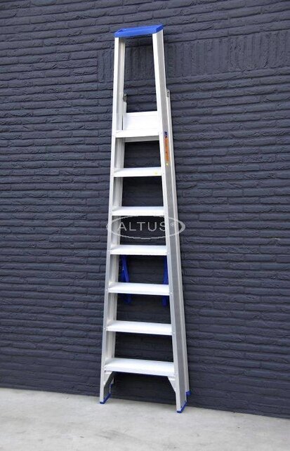 Solide enkele professionele trapladder model PT 7