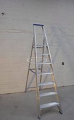 Solide enkele professionele trapladder model PT 7