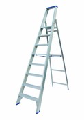 Solide enkele professionele trapladder model PT 8