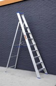 Solide enkele professionele trapladder model PT 8