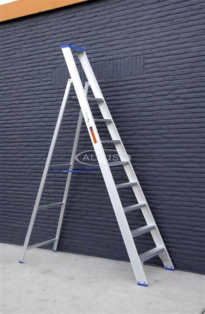 Solide enkele professionele trapladder model PT 8