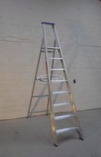 Solide enkele professionele trapladder model PT 8