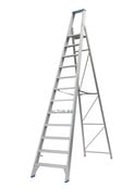 Solide enkele professionele trapladder model PT 12 treden