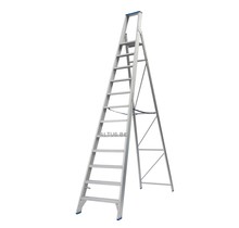 Solide enkele professionele trapladder model PT 12 treden